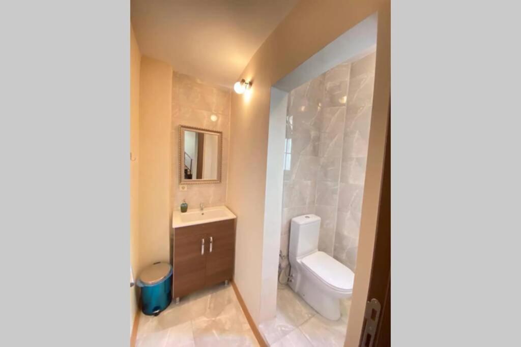 Duplex Suite Sultanahmet Istanboel Buitenkant foto